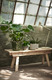 MONSTERA МОНСТЕРА