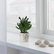 RUNDMYNTA РУНДМИНТА